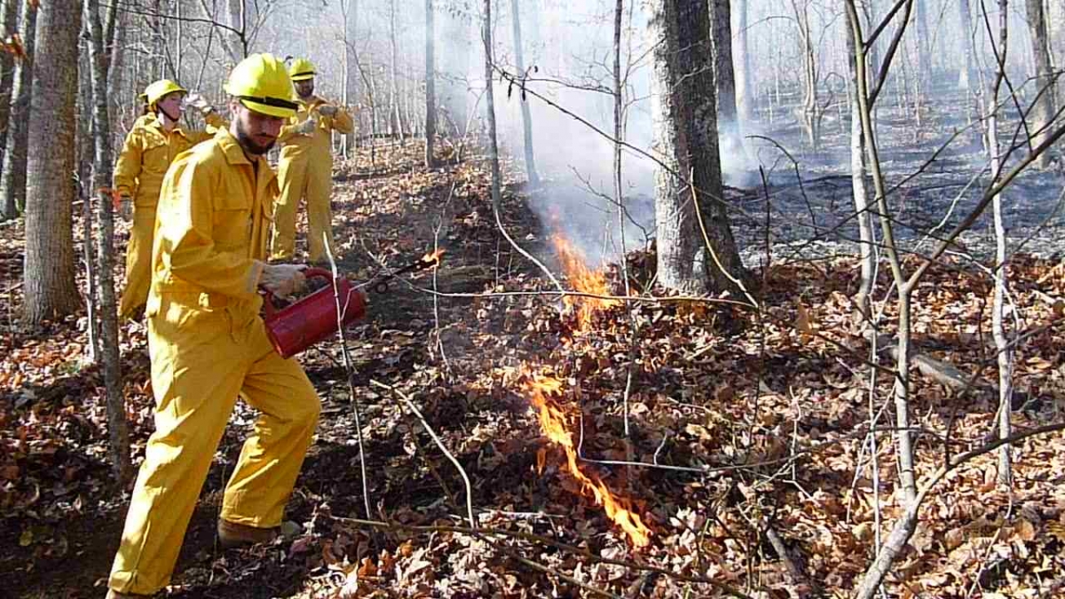 Wildland Firefighting Field Exercises | Department of Recreation ...